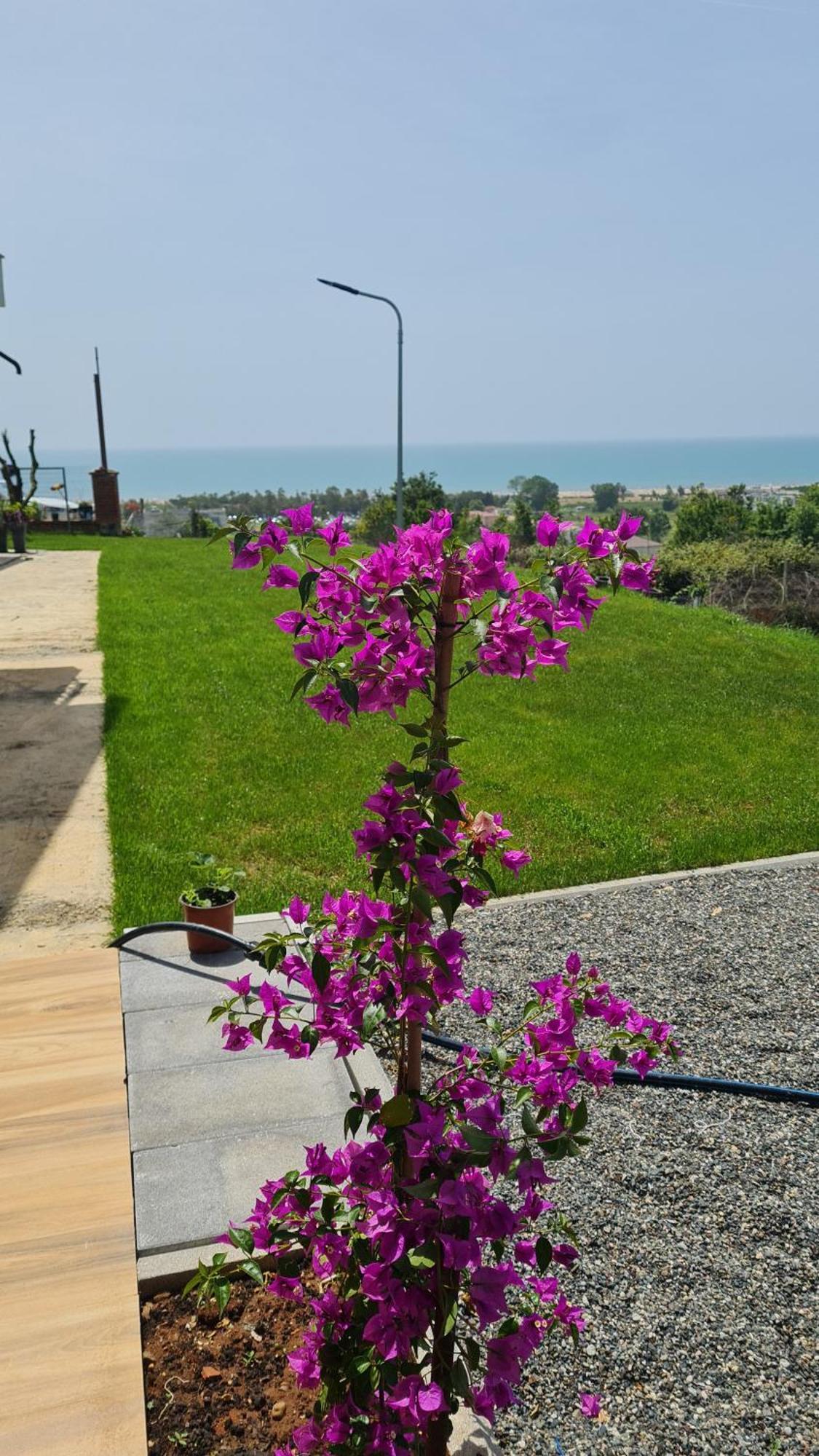 Sol Apartments Gjiri Lalzit Durrës Exteriér fotografie