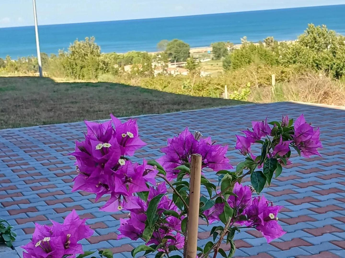 Sol Apartments Gjiri Lalzit Durrës Exteriér fotografie